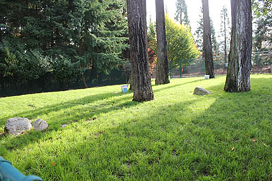 Hillrose-tour Dog Play Area