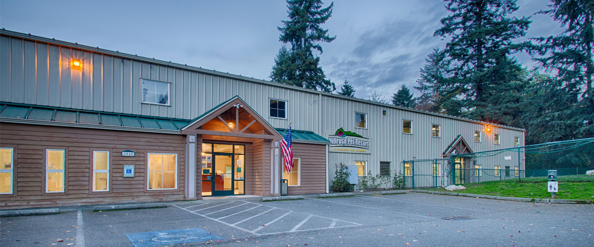 about-us-facility Lodging for pets