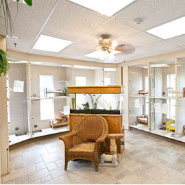 facility-cattery Cattery