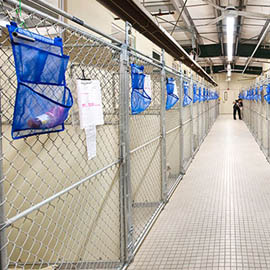 facility-kennels Dog Kennels