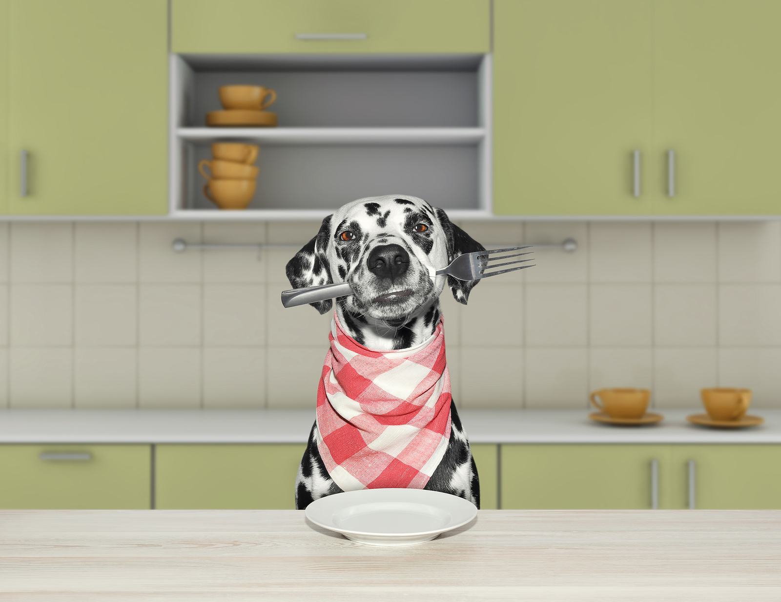 Thanksgiving Dog Care