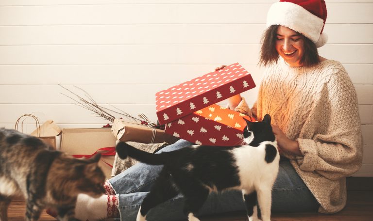 Winter Holiday Pet Safety Tips from Hillrose Pet Resort